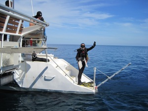 Kaylyn McCoy of the PIFSC Coral Reef Ecosystem Division, on the first day of the live-aboard mission on June 13, gives the OK signal before she hops off a swim step of the Sundancer NT and into the ocean to conduct a stationary-point-count survey of reef fishes off the northern coast of Timor-Leste. NOAA photo