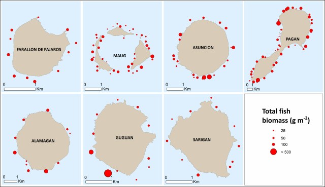 Figure 4. Mean hard coral cover at sites surveyed in the northern islands.