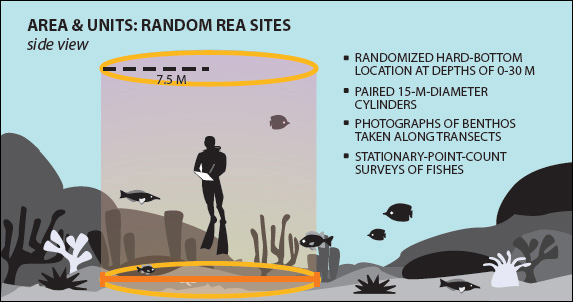 Figure 9. Method used to monitor fish assemblage and benthic communities at the Rapid Ecological Assessment (REA) sites.