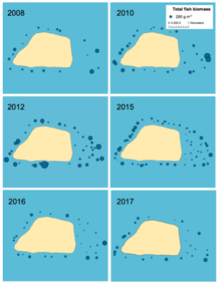 Figure 3. Total fish biomass at sites surveyed per year.
